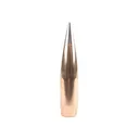 Factory Second Match 50 Caliber (510 Diameter) Bullets 750 Grain Spitzer Box of 20 (Bulk Packaged) - Factory Second Bullets