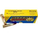 Buffalo Bore Magnum Ammo 45-70 Government 350 Grain Barnes TSX Solid Hollow Point Lead Free Box of 20 - Buffalo Bore Ammunition
