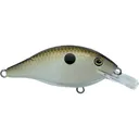 BassMooch Midge Crankbait Tennesse Shad - Bassmooch