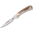 Knives of Alaska Cub Bear Fixed Blade Knife 2.75" Caping CPM MagnaCut Bead Blasted Blade Stag Handle - Knives Of Alaska