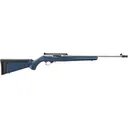 Ruger 10/22 America's 250th Anniversary  Semi Automatic Rifle 22 Long Rifle 18.5" Stainless Threaded Barrel Stainless Frame Red, White, & Blue Field Stock - Ruger
