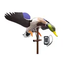 Higdon Flasher PRO Motion Duck Decoy Mallard Drake with Remote - Higdon Outdoors