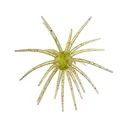Hag's Baits Prickly Pear Jr 9.9mm Urchin Rojo Sandia - Hag's Baits