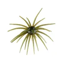 Hag's Baits Prickly Pear 19mm Urchin Guadalupe Haze - Hag's Baits