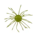 Yamamoto Uni HD 16mm Urchin Baby Bass - Yamamoto