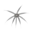 BassMooch Gumball 17mm Urchin Smokey Shad - Bassmooch
