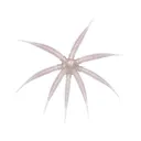 BassMooch Gumball 17mm Urchin Pink Pearl Pepper - Bassmooch