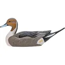 Rig Em Right Mainline Pintail Duck Decoys 6PK - RigEm Right