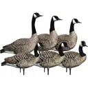 Avian X AXP Honker Sentry-Walker Canada Goose Decoy 6PK - Avian X