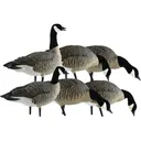 Avian X AXP Fusion Lesser Goose Decoy 6 PK - Avian X
