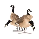 Dave Smith Decoys DSD Maxima Full Body Canada Goose Decoy 4PK - Dsd