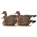Avian X Topflight Specklebelly Floater Goose Decoy 4PK - Avian X
