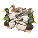 Dave Smith Decoys DSD Maxima Mallards Floater Duck Decoy 6PK - Dsd