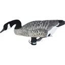 GHG Finisher Swimmer Canada Goose Decoy - Ghg