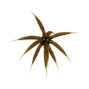 BassMooch Gumball 17mm Urchin Green Pumpkin - Bassmooch