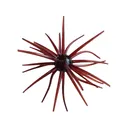 Hag's Baits Prickly Pear Big Tex 25mm Urchin Red Dirt Renegade - Hag's Baits