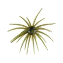 Hag's Baits Prickly Pear Big Tex 25mm Urchin Guadalupe Haze - Hag's Baits