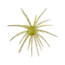 Hag's Baits Prickly Pear 19mm Urchin Rojo Sandia - Hag's Baits