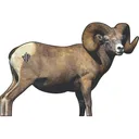 Deadnuts Outdoors Broadside Bighorn 2D Archery Target - Deadnuts Outdoors