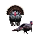 Deadnuts Outdoors Tom Turkey Combo Pack 2D Archery Target - Deadnuts Outdoors