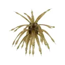 6th Sense Abstract 18mm Urchin Watermelon Candy - 6Th Sense