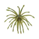Yamamoto Uni Mas 20mm Urchin Green Pumpkin Purple Green - Yamamoto