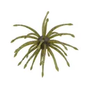 Yamamoto Uni Mas 20mm Urchin Green Pumpkin/Black Flake - Yamamoto