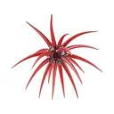 Berkley PowerBait MaxScent 'Moeba 3.5" Urchin Bloodshot - Berkley