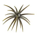 Berkley PowerBait MaxScent 'Moeba 3.5" Urchin Green Pumpkin - Berkley
