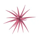 Berkley PowerBait MaxScent 'Moeba 4.5" Urchin Mimizu - Berkley