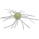 Strike King Mag Tumbleweed Floating 17mm Dice Bait Lemon Drop - Strike King