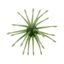 Yamamoto Uni Max 24mm Urchin Baby Bass - Yamamoto