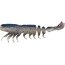 Z-Man Prawn Stars Loose Body Unrigged Creature White Shrimp - Z-Man