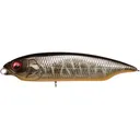 Megabass Karashi Topwater MG Tora Kinkuro - Megabass