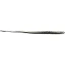 Roboworm Straight Tail Worm 6" Hologram Shad - Roboworm