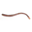 Roboworm Straight Tail Worm 4.5" Desert Craw - Roboworm