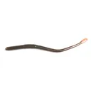 Roboworm Straight Tail Worm 6" Desert Craw - Roboworm