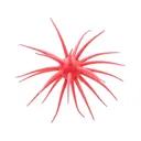 Hideup Coike 17mm Urchin Merthiolate - Hideup