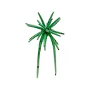Hideup Coike Micro 5mm Urchin Watermelon Seed US - Hideup