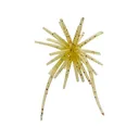 Hideup Coike Micro 5mm Urchin Edge Shrimp - Hideup