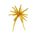 Hideup Coike Micro 5mm Urchin Kuririnkintoki - Hideup