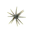 Big Bite Baits Orbix 19mm Urchin Tilapia Magic - Big Bite Baits
