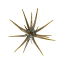 Big Bite Baits Orbix 19mm Urchin Green Pumpkin - Big Bite Baits