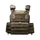 Armored Republic Testudo Plate Carrier Gen 2 Ranger Green - Armored Republic