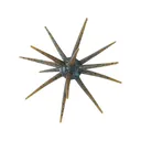 Big Bite Baits Orbix 19mm Urchin Green Pumpkin Blue - Big Bite Baits