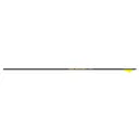 Gold Tip Hunter Pro 340 Carbon Arrow 2" Vanes 12PK - Gold Tip Arrows
