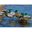 GHG FFD Elite Mallard Harvester Full Body Duck Decoy 6PK - Ghg