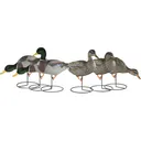 Dakota Decoy X-Treme Full Body Mallard Duck Decoy 6PK - Dakota Decoys