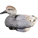 HEYDAY HydroFoam Gadwall Duck Decoy 6PK - Heyday Decoys