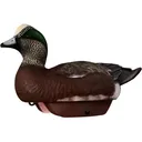 HEYDAY HydroFoam Wigeon Duck Decoy 6PK - Heyday Decoys